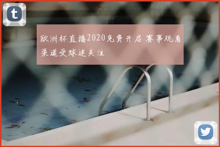 欧洲杯直播2020免费开启 赛事观看渠道受球迷关注