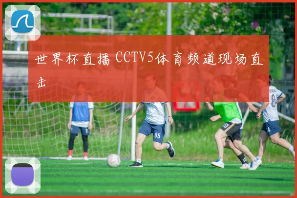 世界杯直播 CCTV5体育频道现场直击