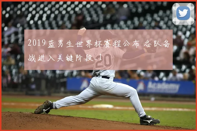 2019蓝男生世界杯赛程公布 各队备战进入关键阶段_1