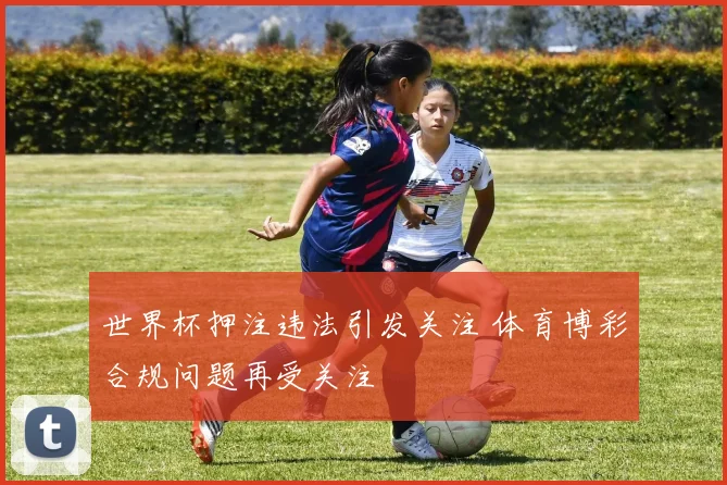 世界杯押注违法引发关注 体育博彩合规问题再受关注