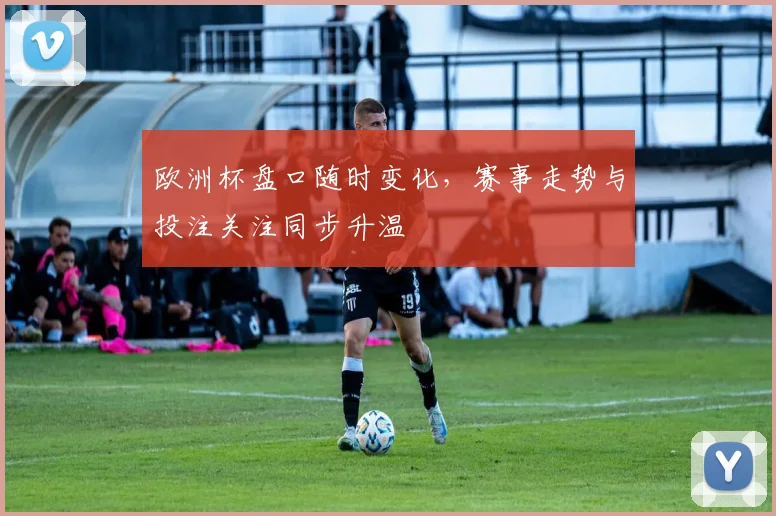 欧洲杯盘口随时变化,赛事走势与投注关注同步升温